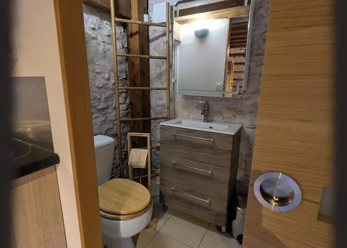 Des Condamines Holiday home *